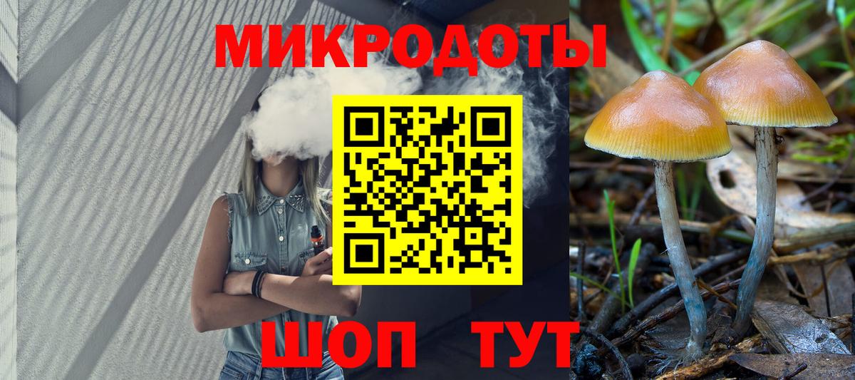 Псилоцибиновые грибы Psilocybine cubensis Ипатово